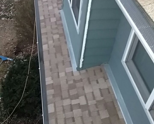 A roof with beige shingles and two visible windows on the side of a blue house, installed by a professional roofing contractor, with a tree and some shrubs in the background.